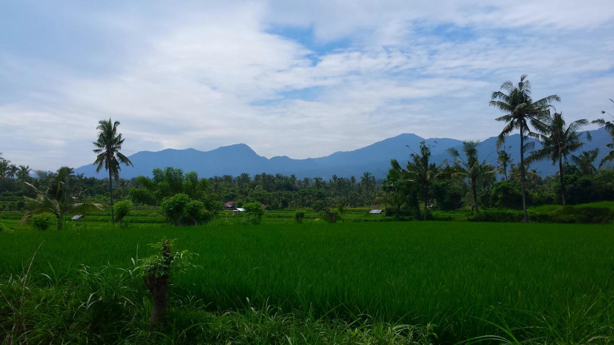 Pondok Manis ซีงาราจา ภายนอก รูปภาพ